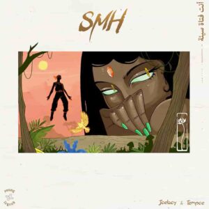 Joeboy – SMH (feat. Tempoe)